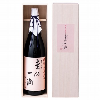 vƖ{X ʏ uK()̈H()v (K-SATI)